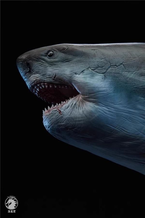 【史派克工廠】結單預購24年Q3 萬蘢堂 1/35 巨齒鯊 鬼顎 大白鯊 雕像模型 0801 萬蘢堂 1/35 巨齒鯊 鬼顎 大白鯊 雕像模型