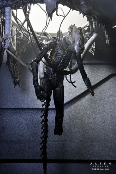 【史派克工廠】結單25年6月 NECA 7吋 異形 羅穆路斯 Xenomorph XX121 實驗室懸吊版 0509 NECA 7吋 異形 羅穆路斯 Xenomorph XX121 實驗室懸吊版