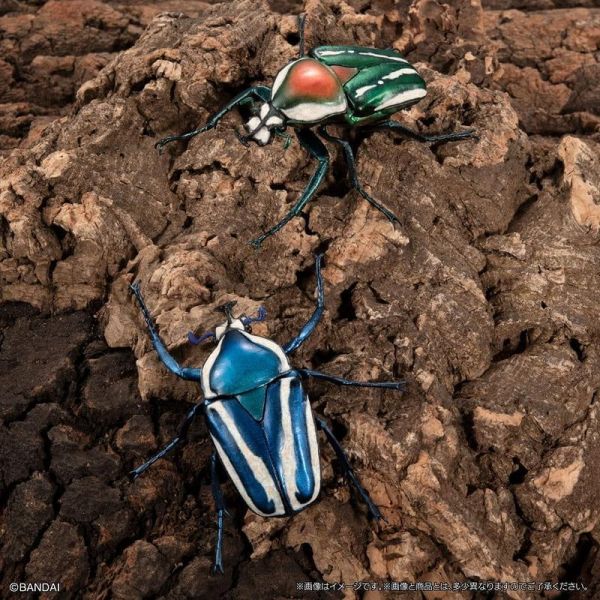 【史派克工廠】預購免運26年7月 萬代 扭蛋袋裝 生物大圖鑑 獨角仙11 附樹皮台座(小) 6款一套 0511 萬代 扭蛋袋裝 生物大圖鑑 獨角仙11 附樹皮台座(小) 6款一套