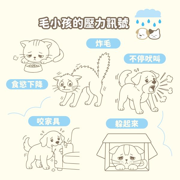澎湃凍乾毛孩派對（天使凍乾組150g三件組） 天使凍乾
色胺酸