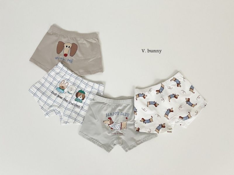 HAPPY DAYS狗狗純棉小褲褲4件套組｜SET(BOY) 