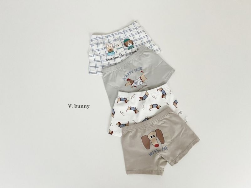 HAPPY DAYS狗狗純棉小褲褲4件套組｜SET(BOY) 