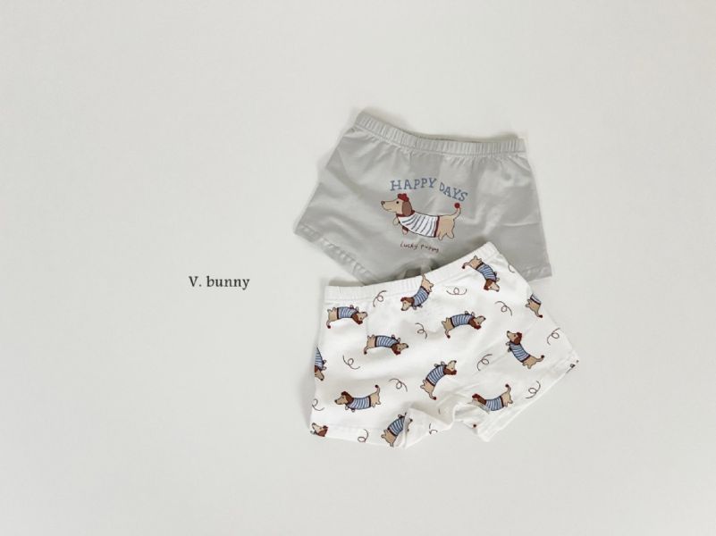 HAPPY DAYS狗狗純棉小褲褲4件套組｜SET(BOY) 
