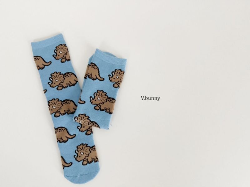 恐龍襪襪套組｜SET 