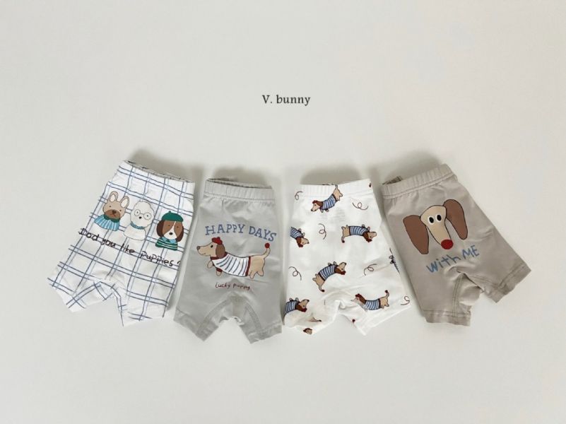 HAPPY DAYS狗狗純棉小褲褲4件套組｜SET(BOY) 