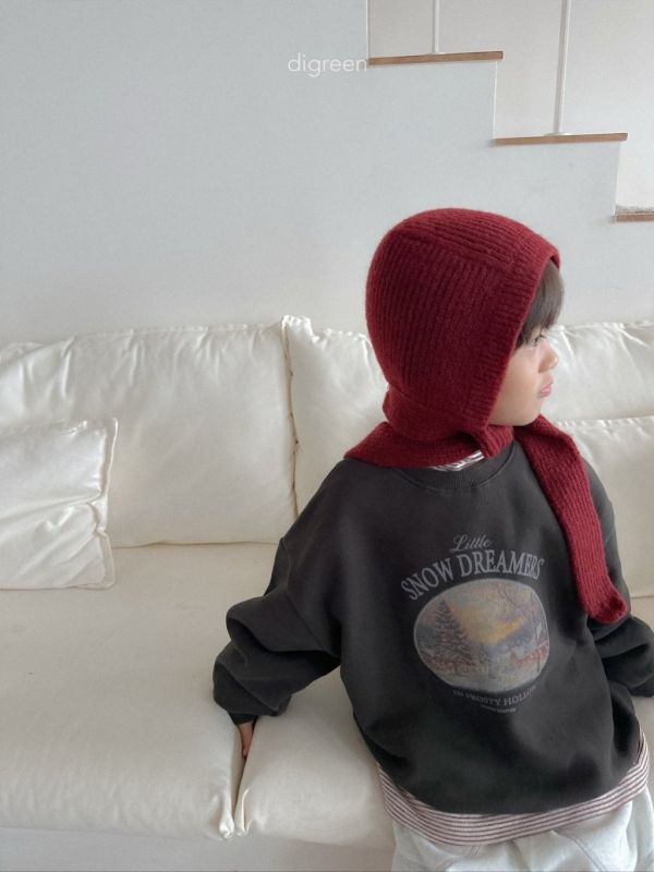 SOM DRENAMERS 休閒衛衣｜2COLORS 