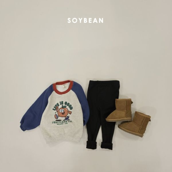 FRUITLAND CO.ｇ水果加絨衛衣｜2COLORS 