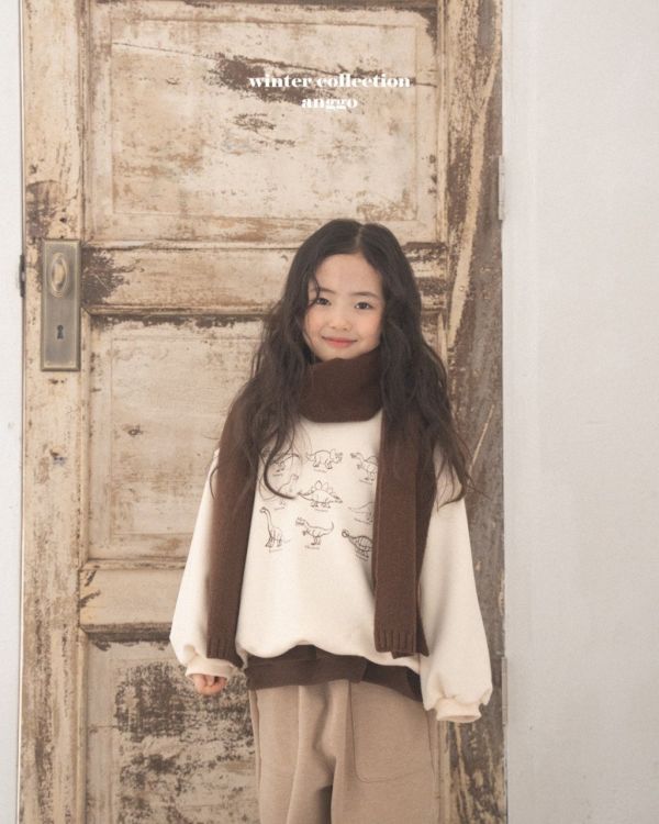 恐龍圖鑑衛衣｜2COLORS 