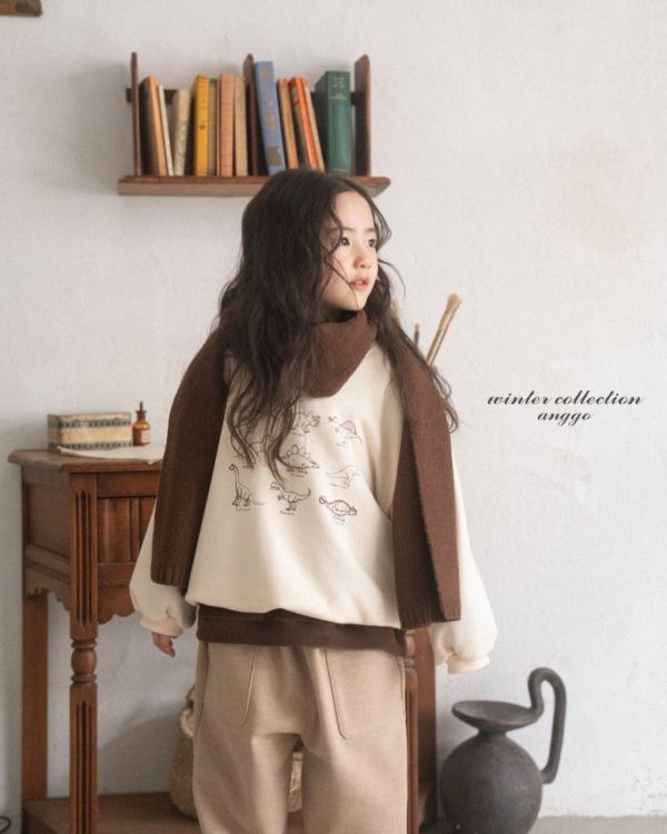 恐龍圖鑑衛衣｜2COLORS 