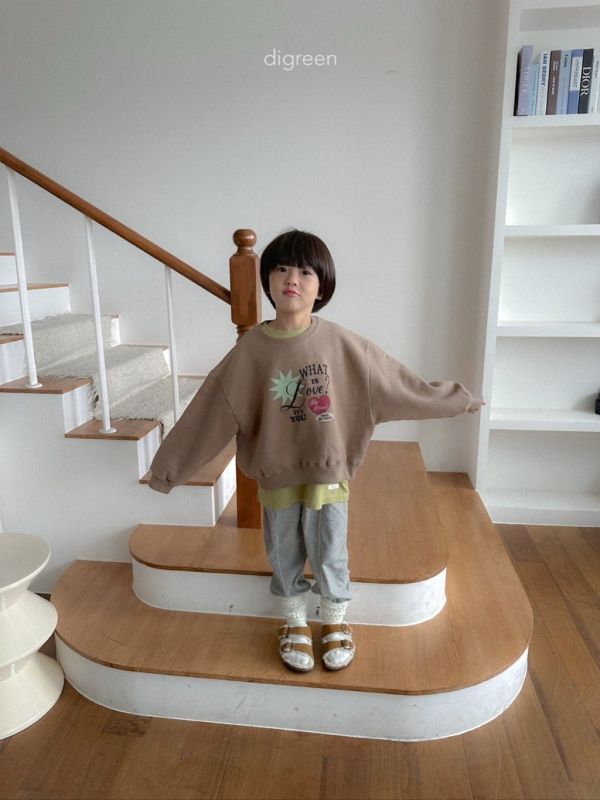 What is love加絨衛衣｜2COLORS 