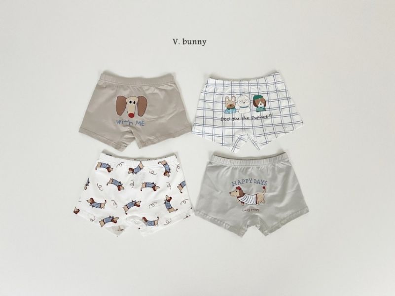 HAPPY DAYS狗狗純棉小褲褲4件套組｜SET(BOY) 
