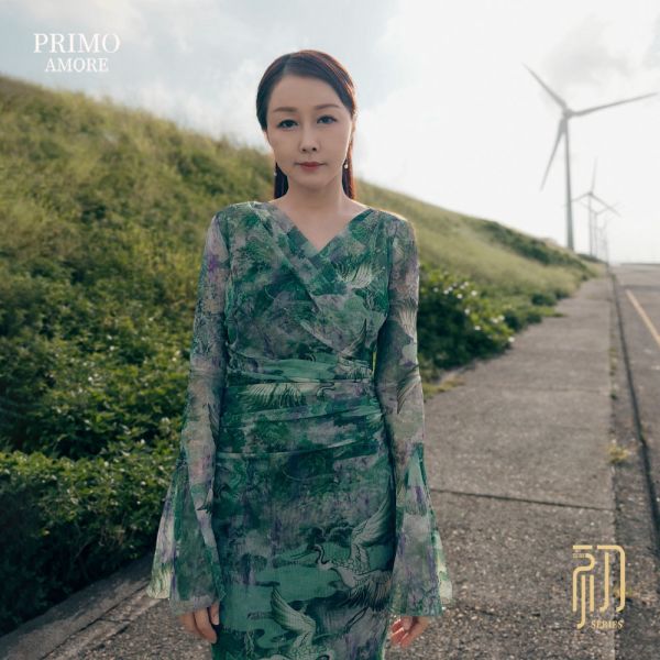 浮光綠影收腰V領洋裝 