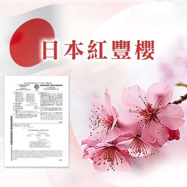 【大立美】水光立克30錠 