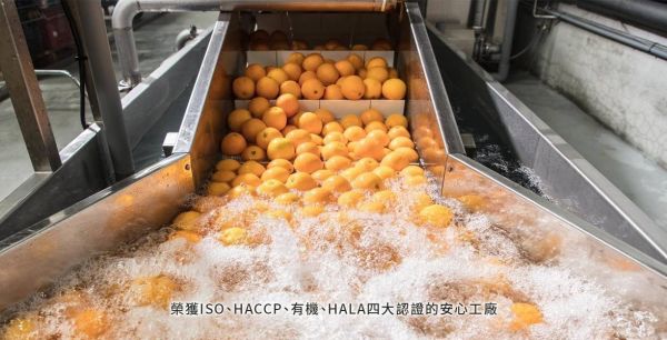 【花果茶】旺來洛神茶10入/袋 