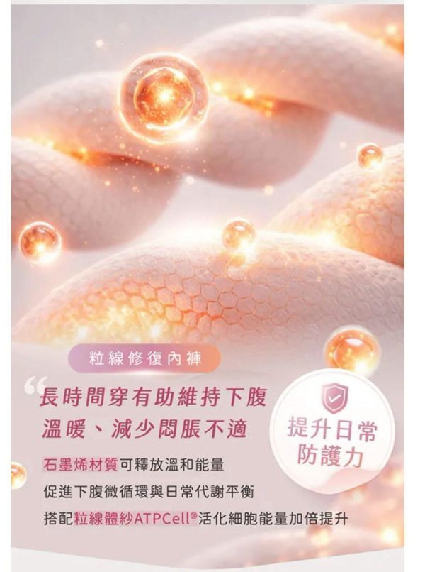 【PP石墨烯】粒線修復內褲4件組 