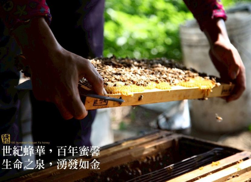 【泉發蜂蜜】愛不釋手-蜂王乳指甲修護精華-橙花 