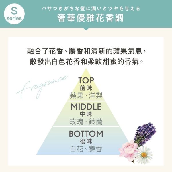 【CLAYGE海泥】溫冷SPA系列-新包裝 