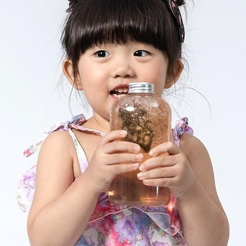 【花果茶】旺來洛神茶10入/袋 