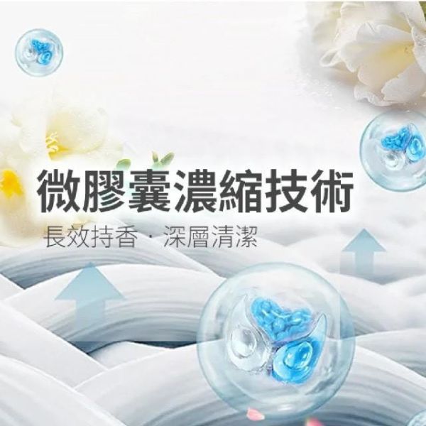 【Mr.Pro羅布先生】小蒼蘭香香豆 X 洗衣膠囊 