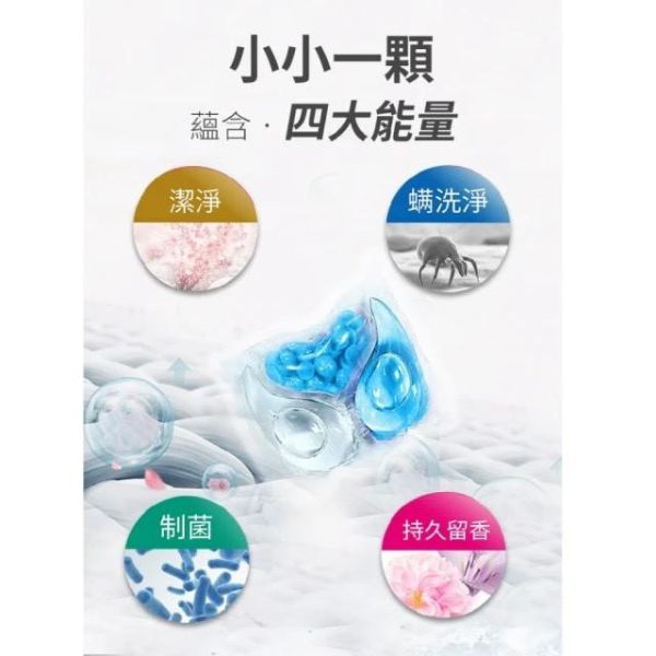 【Mr.Pro羅布先生】小蒼蘭香香豆 X 洗衣膠囊 