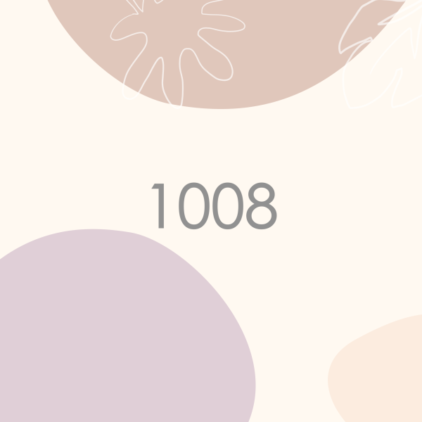 1008 