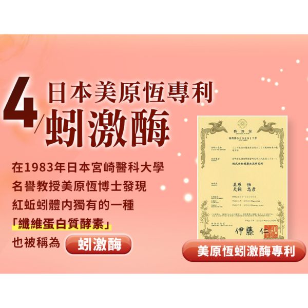 【大立美】管路立克30錠 