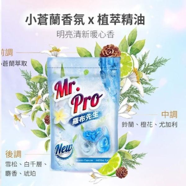 【Mr.Pro羅布先生】小蒼蘭香香豆 X 洗衣膠囊 
