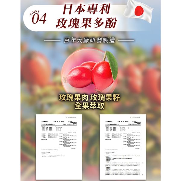 【大立美】線條立克30錠 