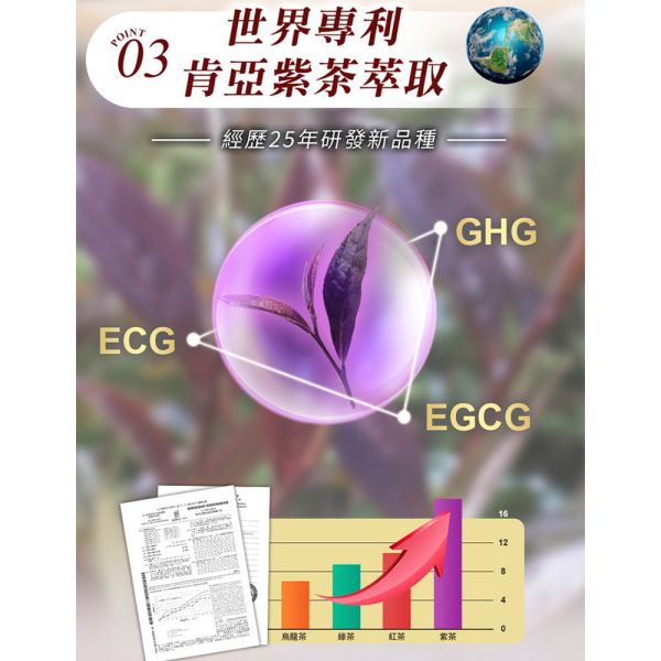 【大立美】線條立克30錠 