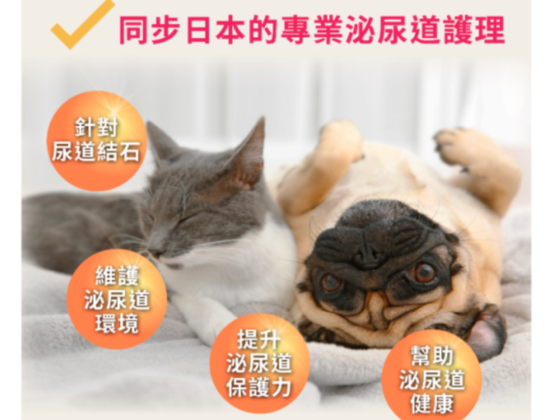 PS BUBU DOG&CAT益秘復60粒-犬貓-泌尿道 益口潔 60錠
PS BUBU 益口潔是不愛刷牙毛孩的救星！包含11種活性機能成分,專業照護配方添加20億口腔益菌/錠、免疫球蛋白、柿子萃取、海藻粉、綠茶萃取等口腔護理成分！12項多國專利認證,獸醫師與Vogue雜誌聯合推薦,更獲SNQ國家品質認證及台灣品質金獎肯定,研究證實能有效消除口腔異味、維護口腔環境、幫助口腔免疫力、保持牙齒健康,每天一錠,口腔、牙齒問題都能輕鬆搞定！
熱銷第一！國家認