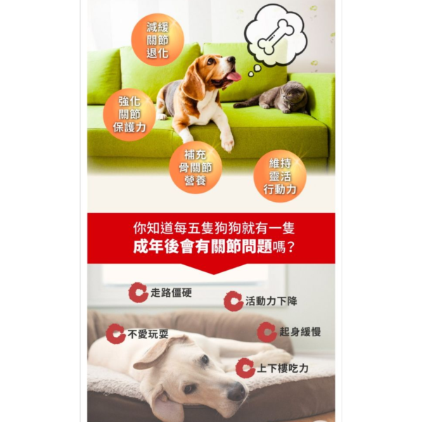 PS BUBU DOG&CAT益骨捷 60粒 貓狗關節保健 17項專利認證 全效關節護理

PS BUBU Dog&Cat 益骨捷 60粒 貓狗關節保健(專利認證 獸醫推薦 幫助毛孩關節健康 維持靈活行動力)