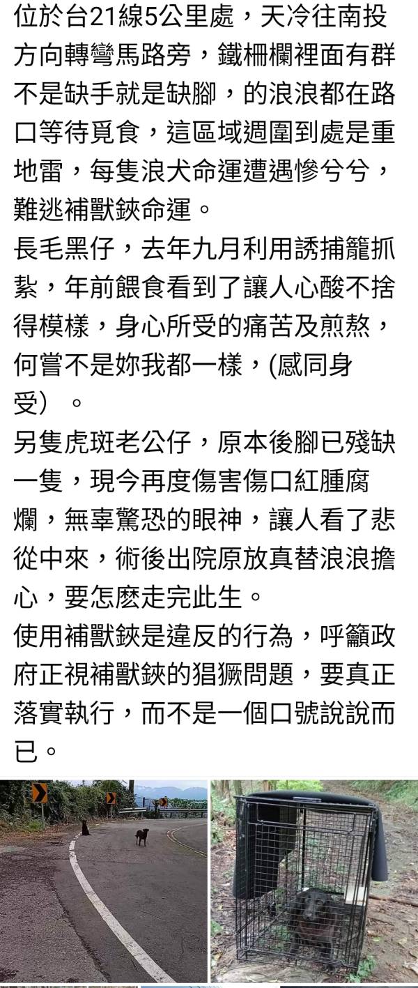 關心_斷手斷腳斷掌的生命（請勿下單） hairykid-hope-help 立法保護動物