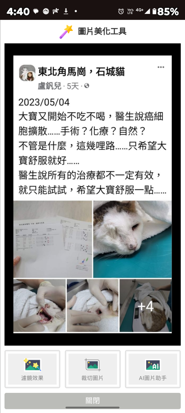 請勿下單-頁面詳細記載事項 珍惜動物幫助holp 毛孩