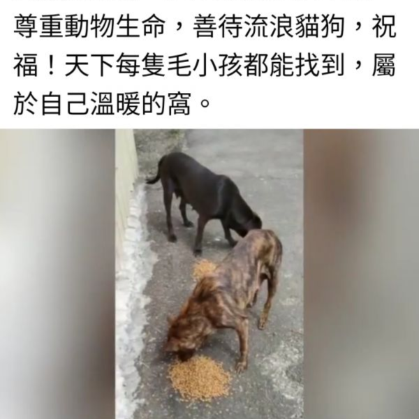 請勿下單-頁面詳細記載事項 珍惜動物幫助holp 毛孩