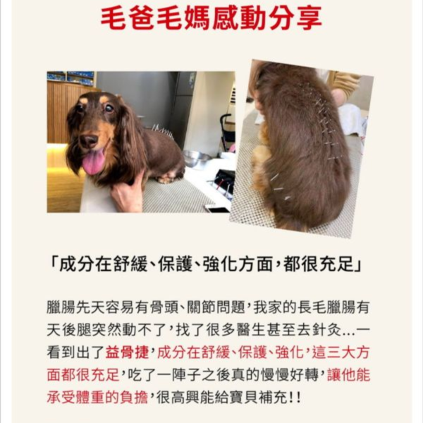 PS BUBU DOG&CAT益骨捷 60粒 貓狗關節保健 17項專利認證 全效關節護理

PS BUBU Dog&Cat 益骨捷 60粒 貓狗關節保健(專利認證 獸醫推薦 幫助毛孩關節健康 維持靈活行動力)