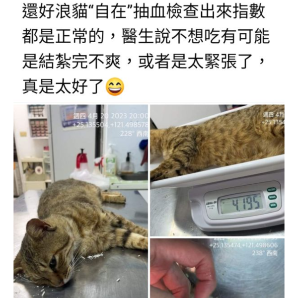 請勿下單-頁面詳細記載事項 珍惜動物幫助holp 毛孩