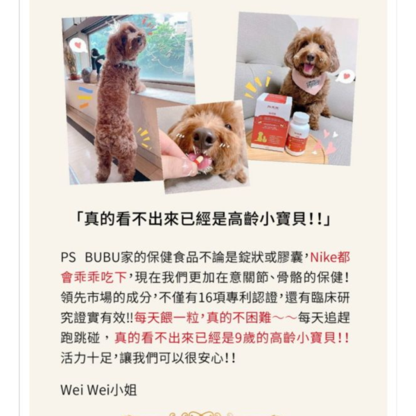 PS BUBU DOG&CAT益骨捷 60粒 貓狗關節保健 17項專利認證 全效關節護理

PS BUBU Dog&Cat 益骨捷 60粒 貓狗關節保健(專利認證 獸醫推薦 幫助毛孩關節健康 維持靈活行動力)