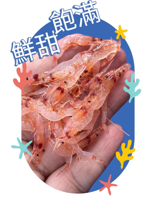 漁船直購_宜蘭生食級櫻花蝦-季節限定-箱購 漁船直購_宜蘭現流櫻花蝦-季節限定-箱購
