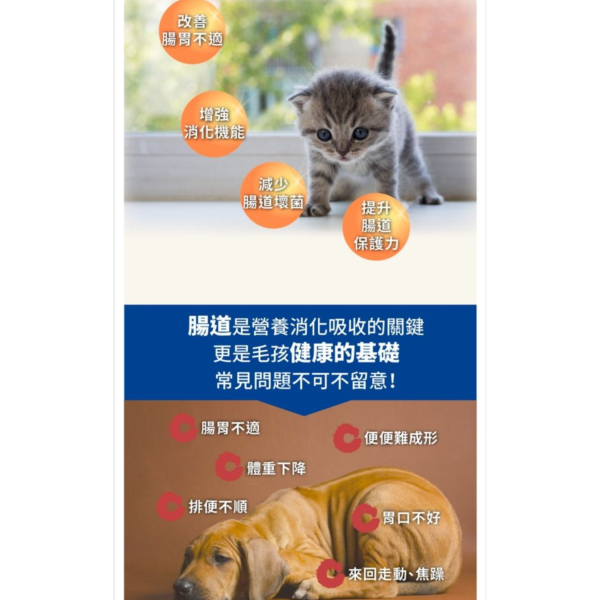 PS BUBU Dog&Cat 酵素益生菌S 30粒 貓狗腸道保健 (專利認證 獸醫推薦） PS BUBU Dog&Cat 酵素益生菌S 30粒 貓狗腸道保健 (專利認證 獸醫推薦）