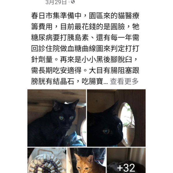 請勿下單-頁面詳細記載事項 珍惜動物幫助holp 毛孩