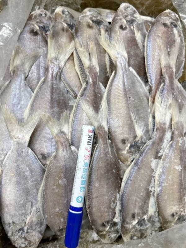 漁船直購_台灣現流_野生肉魚-箱購 台灣本港商品肉魚批發箱購 批發