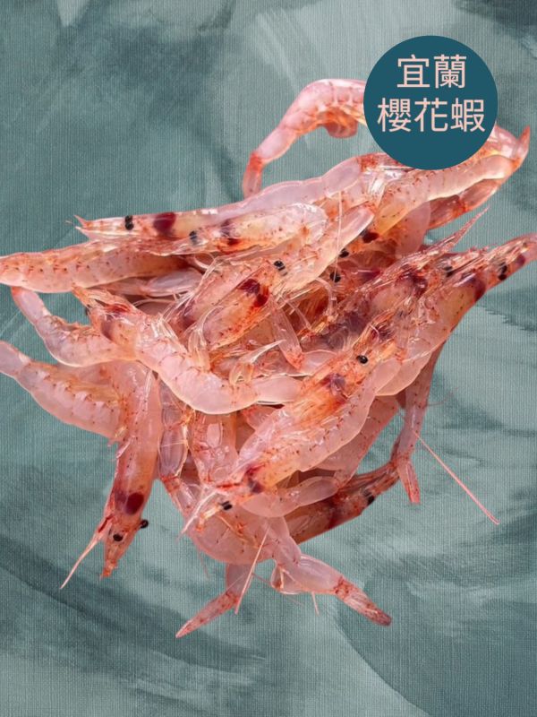 漁船直購_宜蘭生食級櫻花蝦-季節限定-箱購 漁船直購_宜蘭現流櫻花蝦-季節限定-箱購