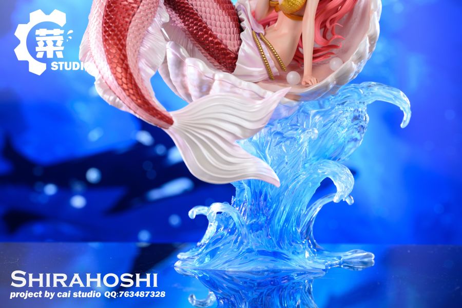 【售罄展示追加請私訊客服@toystationtw】海賊王 大世界第七彈 白星公主 X Cai 動漫,模型,玩具,gk,玩驛,火影,手辦,海賊,死神,航海王,獵人,阿拉蕾,七大罪,七龍珠,寶可夢,神奇寶貝,哥吉拉,宮崎駿,迪士尼,灌籃高手,鬼滅之日刃,一拳超人,蠟筆小新,咒術,鏈鋸人,進擊的巨人,妖精尾巴,我的英雄學院,我英,鋼鍊,鋼之煉金術師,新世紀福音戰士,EVA,間諜家家酒,Re0,漫威,dc,集美#hex#tsume#prime1#queen#tes#xm#野獸國#壽屋#數碼寶貝