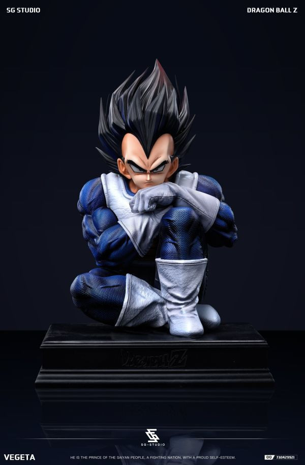 【補款】七龍珠 那美克星篇 貝吉塔 X SG-Studio 玩驛丨Toy station, GK雕像預購, GK雕像代購, GK雕像現貨, GK雕像修復, 咒術, 咒術迴戰, SCC玩具屋, 玩具給庫, NBA, 瘋公仔, 訂製雕像,模型,伯公仔,gk,玩驛,火影,夜風本舖,海賊,死神,航海王,獵人,阿拉蕾,七大罪,七龍珠,寶可夢,神奇寶貝,哥吉拉,宮崎駿,迪士尼,灌籃高手,鬼滅之刃,一拳超人,蠟筆小新,咒術,鏈鋸人,進擊的巨人,乙骨,我英