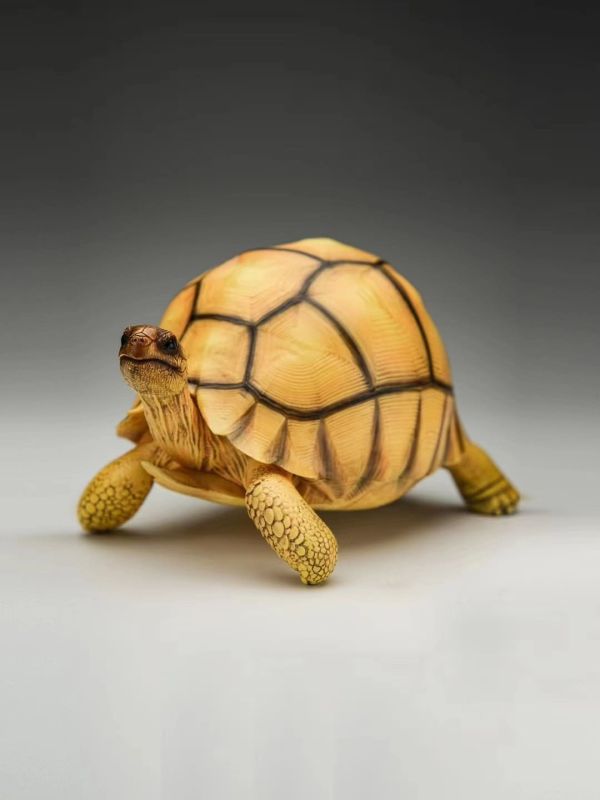 【售罄展示追加請私訊客服@toystationtw】龜系列第一彈安哥洛卡象龜模型 X 博物志 #動漫#模型#玩具#gk#玩驛#火影#手辦#海賊#死神#航海王#獵人#阿拉蕾#七大罪#七龍珠#寶可夢#神奇寶貝#哥吉拉#宮崎駿#迪士尼#灌籃高手#鬼滅之日刃#一拳超人#蠟筆小新#咒術#鏈鋸人#進擊的巨人#妖精尾巴#我的英雄學院#我英#鋼鍊#鋼之煉金術師#新世紀福音戰士#EVA#間諜家家酒#Re0#漫威#dc#集美#hex#tsume#prime1#queen#tes#xm#野獸國#壽屋#數碼寶貝
