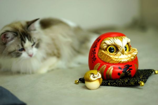 【售罄展示追加請私訊客服@toystationtw】貓鷹頭‬達摩 X 水雲之境工作室 #動漫#模型#玩具#gk#玩驛#火影#手辦#海賊#死神#航海王#獵人#阿拉蕾#七大罪#七龍珠#寶可夢#神奇寶貝#哥吉拉#宮崎駿#迪士尼#灌籃高手#鬼滅之日刃#一拳超人#蠟筆小新#咒術#鏈鋸人#進擊的巨人#妖精尾巴#我的英雄學院#我英#鋼鍊#鋼之煉金術師#新世紀福音戰士#EVA#間諜家家酒#Re0#漫威#dc#集美#hex#tsume#prime1#queen#tes#xm#野獸國#壽屋#數碼寶貝