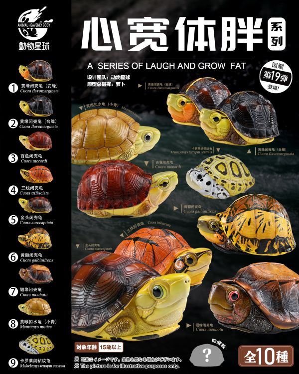 【售罄展示追加請私訊客服@toystationtw】心寬體胖系列十九彈一國龜篇 X 動物星球 #動漫#模型#玩具#gk#玩驛#火影#手辦#海賊#死神#航海王#獵人#阿拉蕾#七大罪#七龍珠#寶可夢#神奇寶貝#哥吉拉#宮崎駿#迪士尼#灌籃高手#鬼滅之日刃#一拳超人#蠟筆小新#咒術#鏈鋸人#進擊的巨人#妖精尾巴#我的英雄學院#我英#鋼鍊#鋼之煉金術師#新世紀福音戰士#EVA#間諜家家酒#Re0#漫威#dc#集美#hex#tsume#prime1#queen#tes#xm#野獸國#壽屋#數碼寶貝