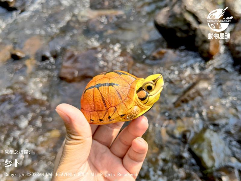 【售罄展示追加請私訊客服@toystationtw】心寬體胖系列十九彈一國龜篇 X 動物星球 #動漫#模型#玩具#gk#玩驛#火影#手辦#海賊#死神#航海王#獵人#阿拉蕾#七大罪#七龍珠#寶可夢#神奇寶貝#哥吉拉#宮崎駿#迪士尼#灌籃高手#鬼滅之日刃#一拳超人#蠟筆小新#咒術#鏈鋸人#進擊的巨人#妖精尾巴#我的英雄學院#我英#鋼鍊#鋼之煉金術師#新世紀福音戰士#EVA#間諜家家酒#Re0#漫威#dc#集美#hex#tsume#prime1#queen#tes#xm#野獸國#壽屋#數碼寶貝