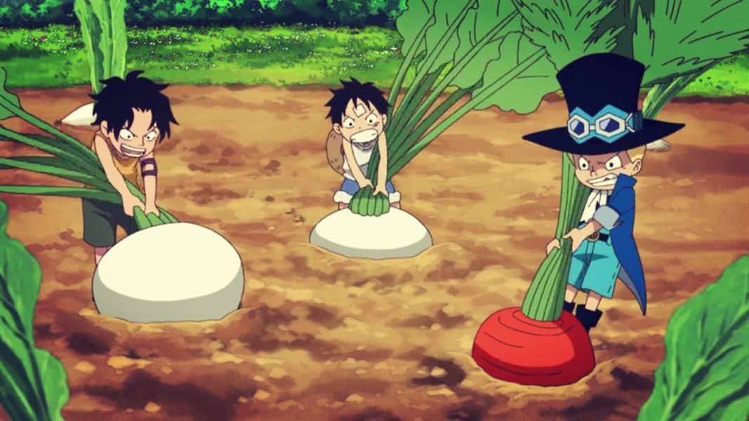 【現貨秒發】海賊王 高訂系列 炎帝-艾斯  X DOD&GOD 玩驛丨Toy station, GK雕像預購, GK雕像代購, GK雕像現貨, GK雕像修復, 購物網站, 自媒體選物店, SCC玩具屋, 玩具給庫, 希模型, 瘋公仔, 訂製雕像,模型,伯公仔,gk,玩驛,火影,夜風本舖,海賊,死神,航海王,獵人,阿拉蕾,七大罪,七龍珠,寶可夢,神奇寶貝,哥吉拉,宮崎駿,迪士尼,灌籃高手,鬼滅之日刃,一拳超人,蠟筆小新,咒術,鏈鋸人,進擊的巨人,妖精尾巴,我的英