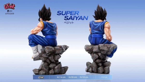 【售罄展示追加請私訊客服@toystationtw】七龍珠 第五彈 貝吉特 達洛特 坐姿 X Wink 動漫,模型,玩具,gk,玩驛,火影,手辦,海賊,死神,航海王,獵人,阿拉蕾,七大罪,七龍珠,寶可夢,神奇寶貝,哥吉拉,宮崎駿,迪士尼,灌籃高手,鬼滅之日刃,一拳超人,蠟筆小新,咒術,鏈鋸人,進擊的巨人,妖精尾巴,我的英雄學院,我英,鋼鍊,鋼之煉金術師,新世紀福音戰士,EVA,間諜家家酒,Re0,漫威,dc,集美#hex#tsume#prime1#queen#tes#xm#野獸國#壽屋#數碼寶貝